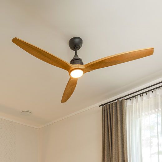 Sandwich Ceiling Fan Electricians