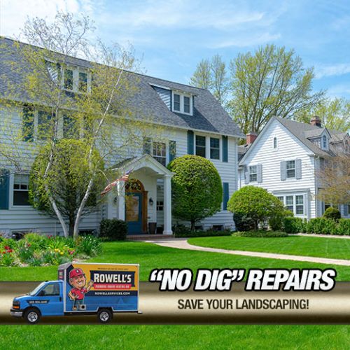 Trenchless Pipe Relining Sandwich: We Save Pipes, Others Dig Up!