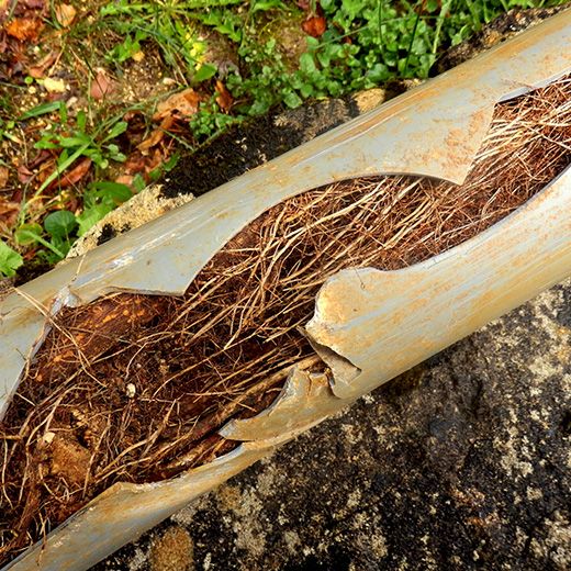 Same Day Drain Sewer & Rooter Pros Across Sandwich